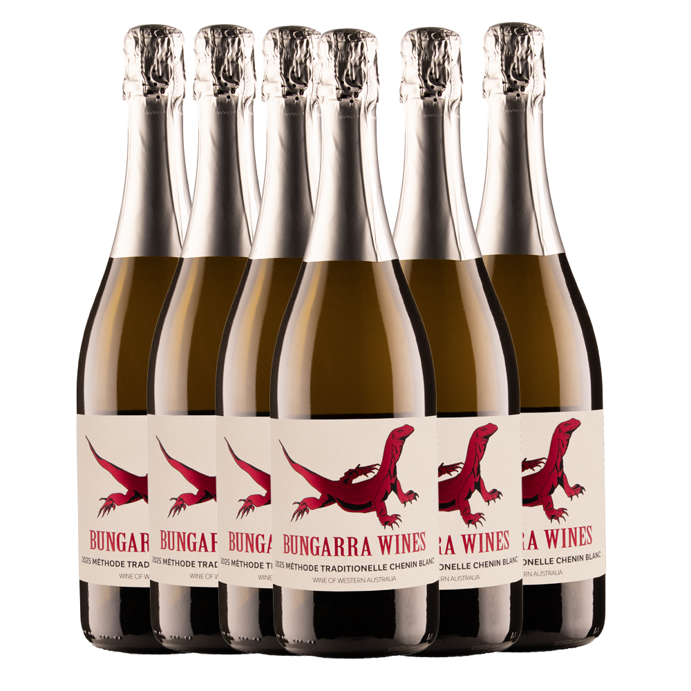 2025 Methode Traditionelle Chenin Blanc (CARTON)